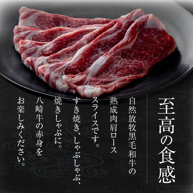 八崎牛の熟成ローススライス約250g×2 N0105-YC906