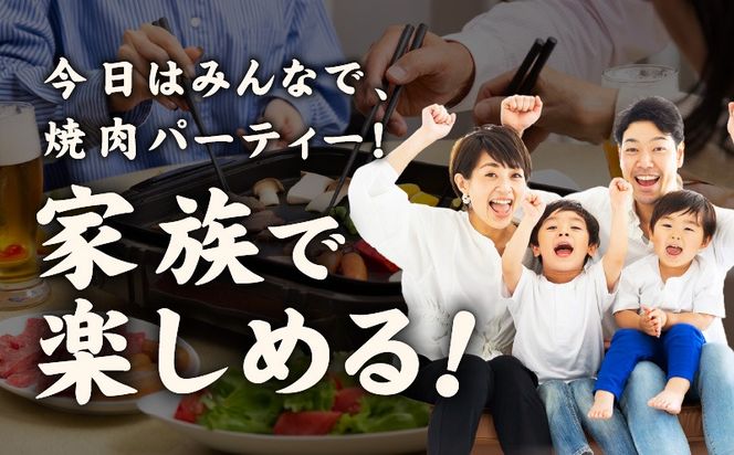 mrz0268-1 牛肉 ハラミ 900g 小分け 300g×3P【氷温熟成×特製ダレ 味付き 牛肉 訳あり 不揃い 焼肉 BBQ 野菜炒め 圧倒的企業努力】