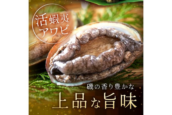 やわらか！絶品！アワビ酒蒸し 3枚入り　アワビステーキ アワビのお刺身 海鮮 魚介 魚介類 鮑 あわび 蝦夷鮑 蝦夷あわび 身厚 厳選 柔らかい 極上品 アワビ 鮑　YK00259