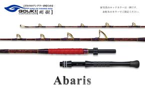 剛樹 アバリス235 （ABARIS 235SS） 235cm ウェイト負荷100-300号 釣り 釣具 釣竿 ロッド 釣り用品 釣り竿 海釣り 