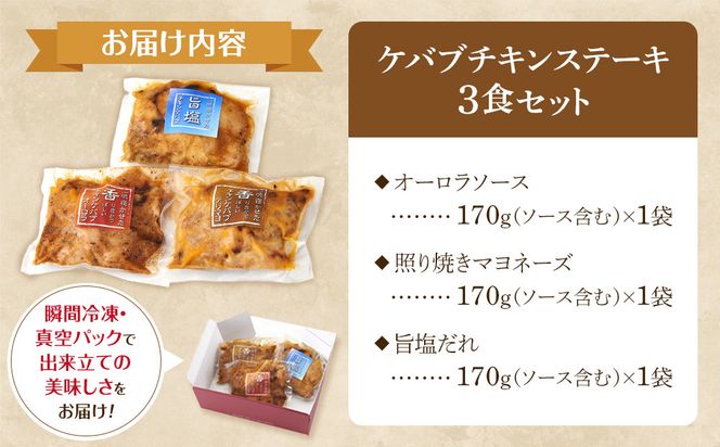 お試し 本場のケバブ チキンステーキ 170g×3食セット 肉料理 鶏肉 温めるだけ 惣菜 お手軽 簡単 ギフト 贈り物　 304018_AG42