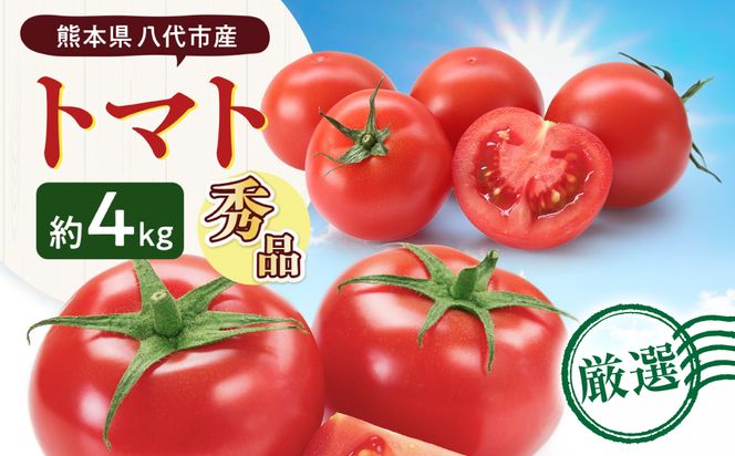 【先行予約】 熊本県八代市産 トマト 約4kg (20玉または24玉) とまと 野菜 やさい サラダ 旬 旬の野菜 新鮮 新鮮な野菜 熊本県 八代市 【2027年1月上旬より順次発送】