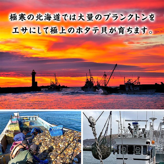 24-121 【甲羅組】【訳あり】ほたて貝柱 １kg【欠け/サイズ不揃い】