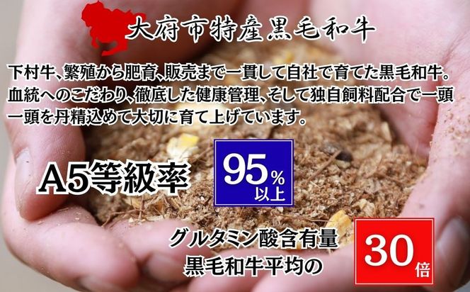 【期間・数量限定】大府市特産　A5黒毛和牛特選サーロイン塊肉　1.0kg 232238_N058