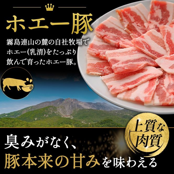 【訳あり】ひなた宮崎ホエー豚厚切り不揃い切り落とし焼肉　900g（国産 豚肉 切り落とし　焼肉　やきにく　宮崎 小林市 人気 冷凍）