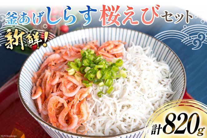 【明治神宮奉献品！】 釜揚げしらす 520g 釜揚げ桜えび 300g [丸三水産 静岡県 吉田町 22424371] シラス しらす 釜揚げシラス 桜エビ サクラエビ 桜海老 駿河湾