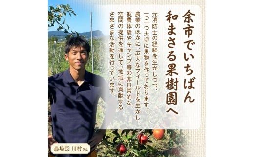 余市町 ナイアガラワイン 2本セット 2023 各750ml×2本 Verger Nobori 1976 辛口白 ＆ 微発泡 ナイアガラ ワイン 白ワイン 余市町登町 マスカットの香り 北海道 送料無料_Y103-0032