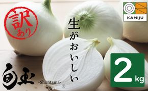 (2026年発送) ≪『満天☆青空レストラン』で紹介されました！≫ 【数量限定】訳あり 新玉ねぎ 生がおいしい 神重農産のブランド玉ねぎ「旬玉」2kg ブランド玉ねぎ 玉ねぎ 国産 愛知県産 野菜 やさい 農家直送 畑直送 旬 期間限定 たまねぎ 先行予約 旬 特産 高評価 高リピート 人気 H105-202