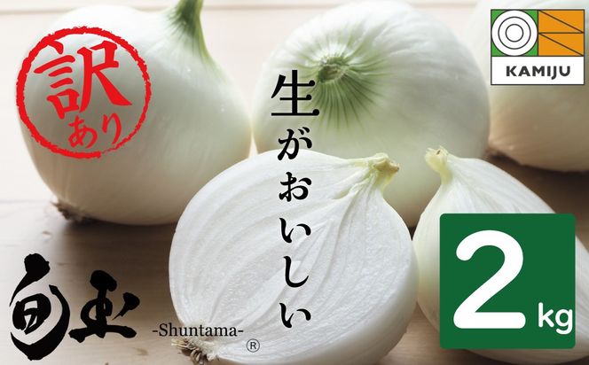 【5/31まで受付】(2027年発送) ≪『満天☆青空レストラン』で紹介されました！≫ 【数量限定】訳あり 新玉ねぎ 生がおいしい 神重農産のブランド玉ねぎ「旬玉」2kg ブランド玉ねぎ 玉ねぎ 国産 愛知県産 野菜 やさい 農家直送 畑直送 旬 期間限定 たまねぎ 先行予約 旬 特産 高評価 高リピート 人気 H105-202