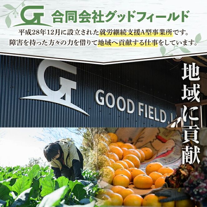 鹿児島県産冷凍ブロッコリー(合計2kg・約250g×8袋) 大容量 国産 野菜 冷凍 冷凍野菜 小分け【合同会社グッドフィールド】akn056-10