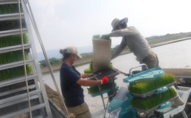 米 5kg 季節野菜 セット 玄米 ゆめつくし お米 詰合せ 福岡県産 