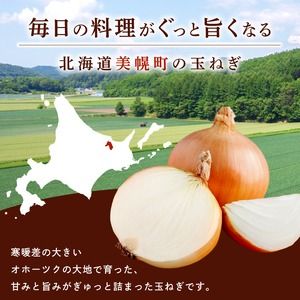 【令和8年産 先行予約】玉ねぎLサイズ・10kg（2026年10月上旬より順次発送）