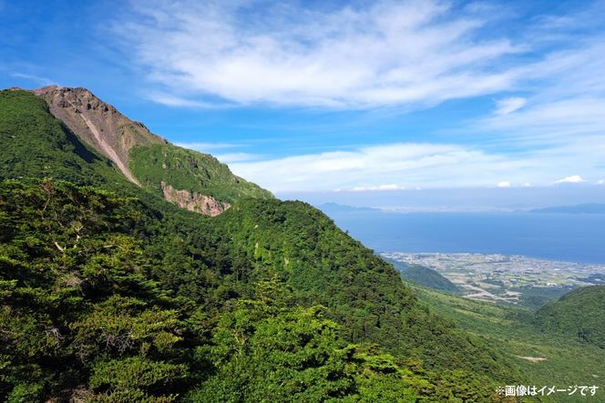 AJ625 山崎本店酒造場 【6回定期便】 雲仙島原の天然水 2L 8本 2箱 [ 水 2リットル 天然水 ウォーター ペットボトル 定期便 定期 おいしい 名水百選 大容量 軟水 長崎県 島原市 ]