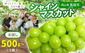  ※2026年の予約です！※ 岡山県産 林ファミリーのシャインマスカット 500g以上（1房）【2026年先行予約】 / ブドウ ぶどう 岡山 真庭市 マスカット 葡萄 果物 フルーツ 新鮮 人気 数量限定 お買い得 家庭用 お試し たっぷり ぶどう専門 【hfbd0009-01】