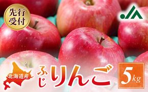 【先行受付：2026年11月下旬以降発送分】りんご (ふじ)  5kg_Y010-0659