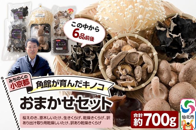 みちのくの小京都・角館が育んだ「おまかせセット」（桜えのき、原木しいたけ、生きくらげ、乾燥きくらげ、訳あり出汁取り用乾燥しいたけ、訳あり乾燥きくらげ）合計約700g(6品前後) [えのき エノキ しいたけ 椎茸 シイタケきくらげ 木耳 キクラゲ 園主おすすめ 生 乾燥 出汁 訳あり 秋田県 仙北市 角館]|02_sne-010201