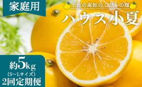【2026年出荷分】【2回定期便】土佐の高知のくだもの畑 ハウス小夏 5kg(家庭用) 高知 土佐 こなつ 果物 フルーツ 土佐の高知のくだもの畑 【先行予約】 - 家庭用 訳あり 小夏 ハウス ミカン みかん 蜜柑 柑橘 果物 フルーツ こなつ のし対応可 熨斗 国産 Wkd-0034