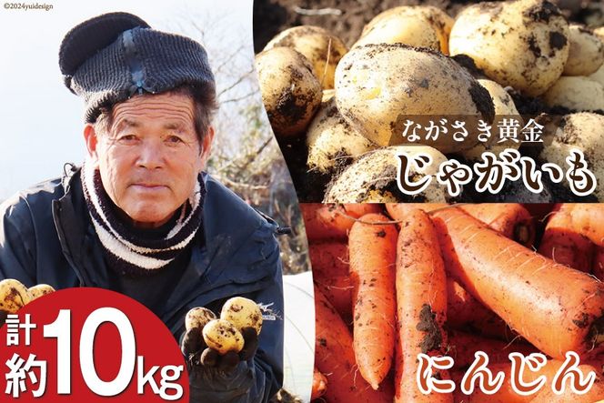 AI210 じゃがいも ＆ 人参 セット ( ながさき黄金＆冬人参 ) 約 10kg [ 野菜 野菜セット 詰め合わせ ジャガイモ にんじん ニンジン 10キロ 黄金 贅沢宝庫 長崎県 島原市 ]