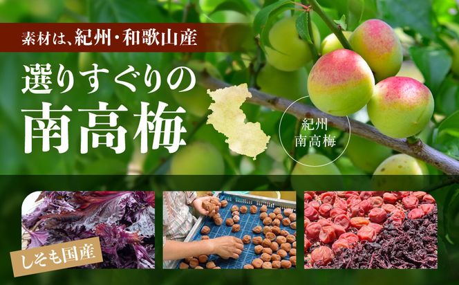 紀州南高梅 しそ 塩分約15％ 400g ［YM5］ 303446_DX90008