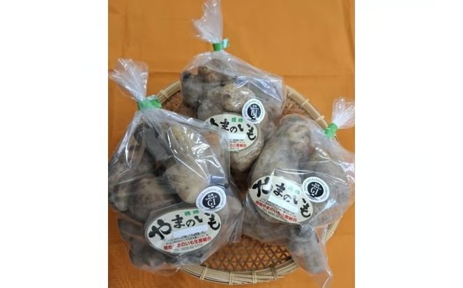 D535 徳地やまのいも800g袋(ご家庭用)×3袋