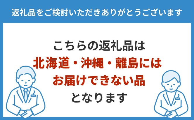 【先行予約】味くらべ ブドウ セット 1.8kg（シャインマスカットと旬のぶどう） ｜ ぶどう 葡萄 ※2026年9月～発送