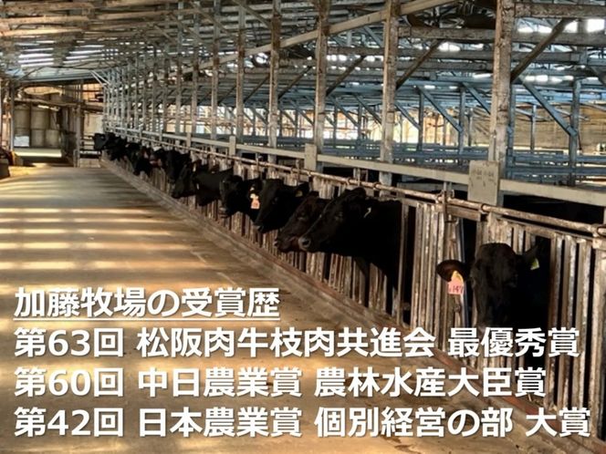 松阪牛の品評会で最優秀賞受賞歴のある 加藤牧場の黒毛和牛 ロース・肩ロース 500g/牛肉 国産牛 国産 和牛 大容量 冷凍便 年末年始 お正月 黒毛和牛 ロース 肩ロース 肉 上質 家族 焼肉 しゃぶしゃぶ すき焼き 鍋 おいしい 美味しい 人気 おすすめ 三重県 四日市市 ふるさと納税