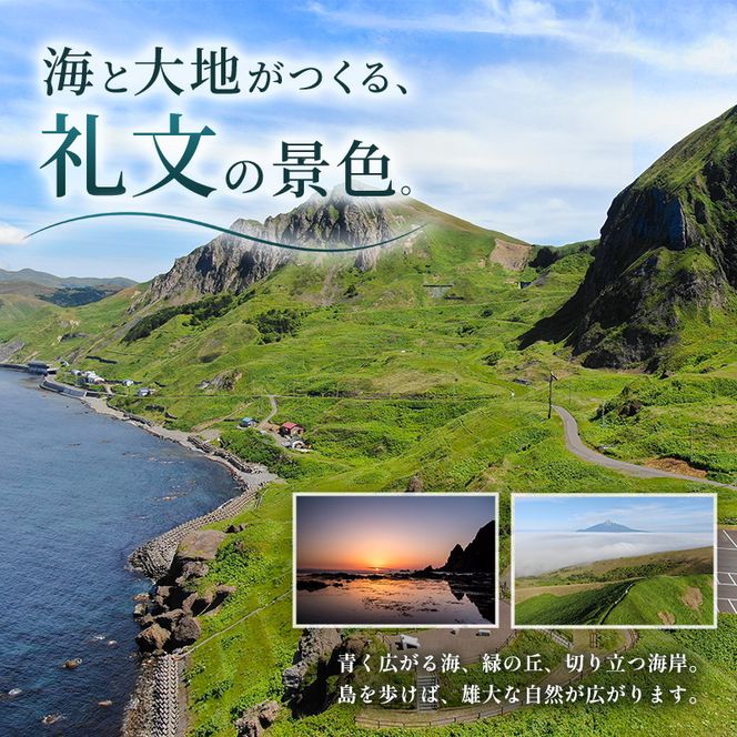 【返礼品なし】北海道 礼文町 ふるさと応援寄附金 100,000円コース ［北海道礼文町］【 寄附のみ 応援 支援 礼文島 地域貢献 自然保護 地方創生 まちづくり ふるさと納税 】