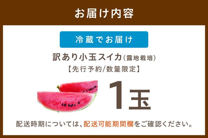 【先行予約／数量限定100】にしまるスイカ 訳あり 1玉入り（露地栽培）（2025年7月中旬から発送）　FR00014