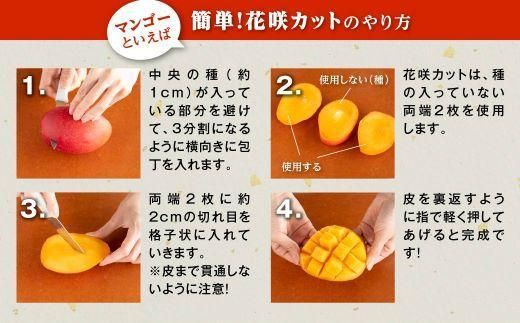 【訳あり】 1.5kg 大崎完熟マンゴー「郷の恵（さとのめぐみ）」加工用マンゴー（糖度10度前後） 464686_BD008