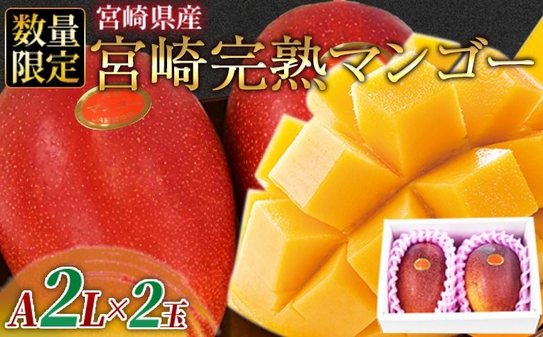 数量限定![2026年発送][宮崎県産 完熟マンゴー A等級 2Lサイズ×2玉(合計約700g)]2026年4月上旬〜6月末迄に順次出荷[b0477_ja]
