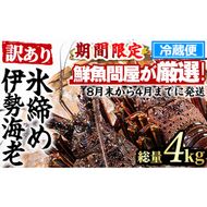 【1353211a】＜訳あり＞朝獲れ発送！鮮魚問屋が厳選した氷締め伊勢海老(4～10尾・総量4kg以上) 伊勢エビ 伊勢えび 刺身 さしみ えび 海老 魚介類 海鮮 刺身 塩焼き 訳あり 訳アリ 【江川商店】