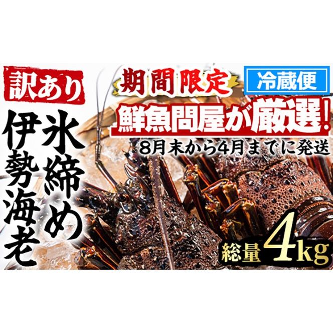 【1353211a】＜訳あり＞朝獲れ発送！鮮魚問屋が厳選した氷締め伊勢海老(4～10尾・総量4kg以上) 伊勢エビ 伊勢えび 刺身 さしみ えび 海老 魚介類 海鮮 刺身 塩焼き 訳あり 訳アリ 【江川商店】