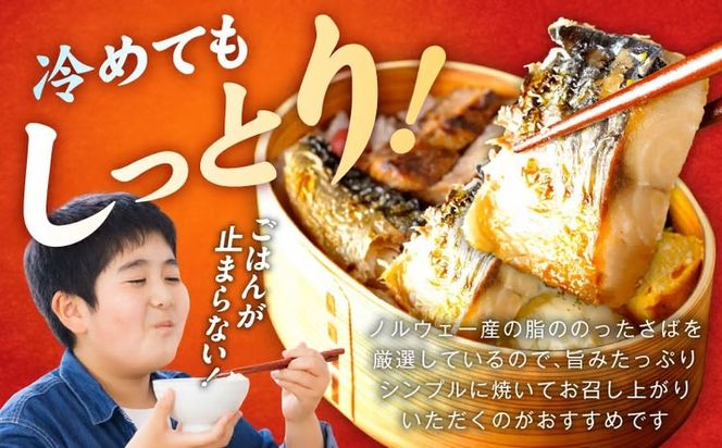 099Z576 【定期便】塩さば 1kg（250g×4P）全3回【お弁当サイズ 生活応援 サバ 小分け 青魚 塩鯖 塩サバ 切身 塩焼き 焼きさば 焼き鯖 人気 冷凍 冷凍食品 おかず 惣菜 訳あり サイズ不揃い】