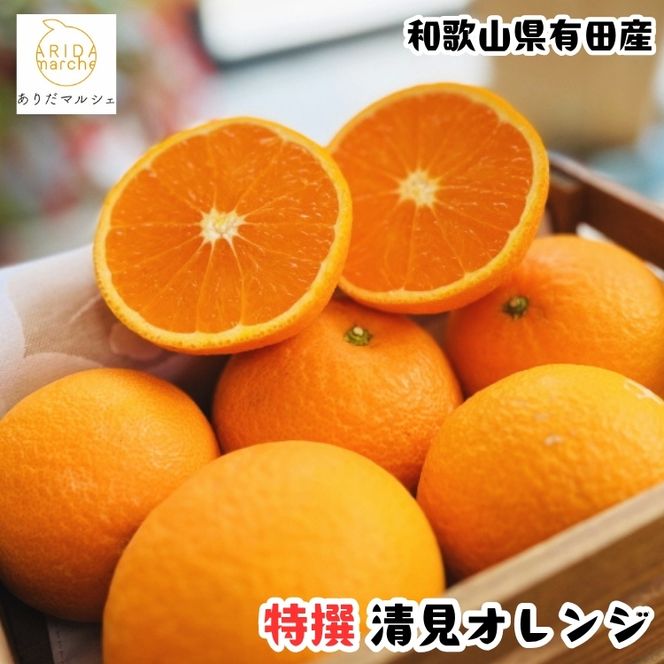 【特撰】完熟 清見オレンジ 農家直送 約3.2kg(3kg+200g(補償分))