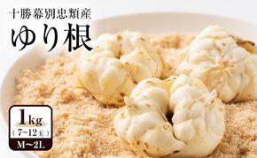 2026年10月発送 先行予約 十勝「忠類ゆり根」1kg (7～12玉) M～2L［JA忠類］【 ゆり根 百合根 高級食材 お正月 贈答 ギフト 根菜 冬の味覚 北海道 幕別 】