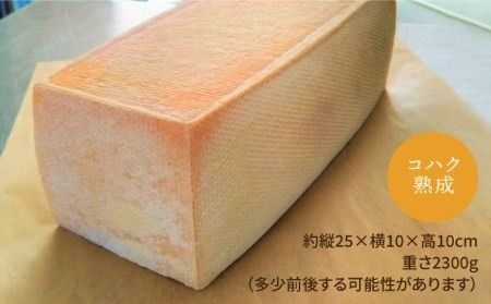 【糸島産生乳100％使用の手作りチーズ】コハク熟成 1ホール 糸島市 / 糸島ナチュラルチーズ製造所TAK-タック- [AYC011] チーズ おつまみ 乳製品 ギフト 贈答 贈り物 手づくり 生乳 プレゼント