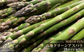 【2026年5月発送】北海道 富良野産 露地 グリーン アスパラ 2Lサイズ約1kg 野菜 アスパラガス