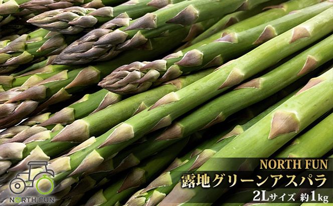 【2026年5月発送】北海道 富良野産 露地 グリーン アスパラ 2Lサイズ約1kg 野菜 アスパラガス