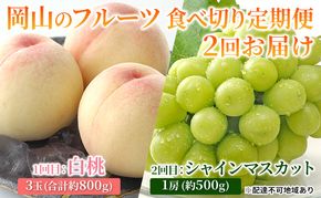 フルーツ 2026年 岡山のフルーツ 食べ切り 定期便 白桃 3玉 合計約800g／シャイン マスカット 1房 約500g もも 葡萄 ブドウ 岡山県産 フルーツ シャインマスカット 桃 果物 旬 定期便