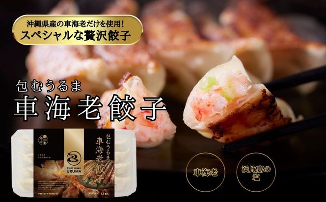 【ふるさと納税】包むうるま餃子 4種セット（島餃子・鶏塩餃子・チャンプルー餃子・車海老餃子）　 餃子　豚肉　ゴーヤー　車海老　沖縄　中華