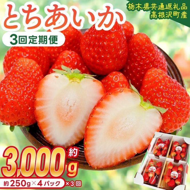 【先行予約】【3回定期便】栃木県産 とちあいか 合計3,000g (250g以上×4パック×3回) 農家直送 家庭用 和饗エコファーム【栃木県共通返礼品/高根沢町産】｜定期便 栃木県 ふるさと納税 いちご イチゴ 苺 旬 果物 フルーツ とちあいか(DW002)