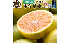 家庭用 有田 みかん サイズ混合(2S～2L) 2.5kg+250g ※10月発送(極早生) / 温州みかん 有田みかん 訳あり 甘い 光センサー選果 果物 柑橘 和歌山 ※北海道・沖縄・離島への配送不可 【ikd003-cm-2d5-oct】