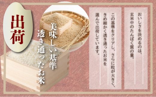 《選べる容量》特選米100%!令和7年産さがびより(精白米) 10kg