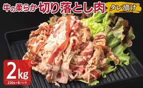 G3389 牛肉 切り落とし タレ漬け 合計2kg【味付け 小分け 焼くだけ 簡単調理 BBQ 牛肉 250g×8袋】
