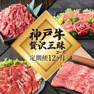 神戸牛 定期便 12ヶ月連続お届け 贅沢三昧 すき焼き肉 焼肉 ロースステーキ 焼肉食べ比べ 切り落とし スジ肉