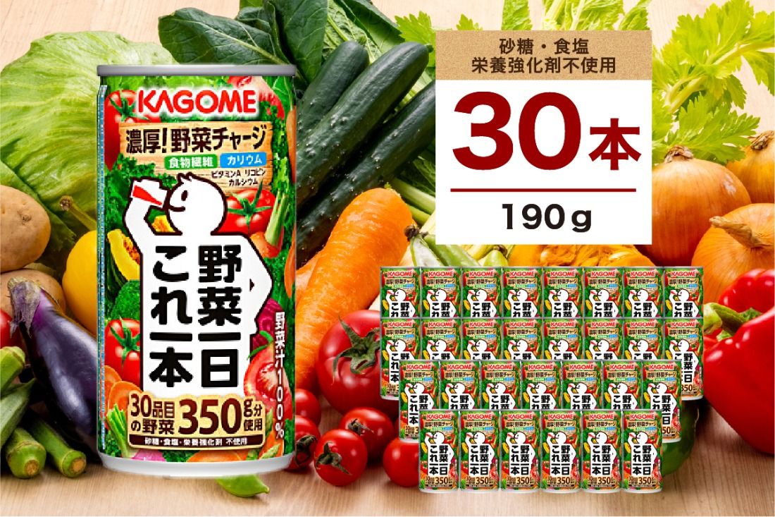 ns111-014-30 カゴメ 野菜一日これ一本 190g 30本