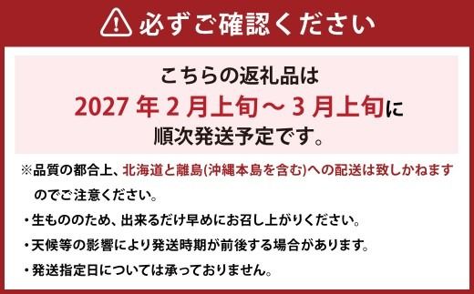  【訳あり】 完熟あまおう 2パック 約275g×2パック 合計約550g 【2027年2月上旬～3月上旬までに出荷予定】いちご 苺 訳あり 家庭用 果物 フルーツ