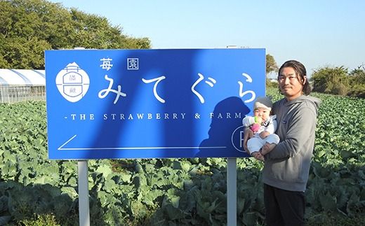 【1月中旬～4月上旬発送】いばらキッス・やよいひめ 2品種食べ比べ いちご 朝摘み 完熟 大粒 ギフト化粧箱 (15粒or12粒)×2箱 茨城県常総市産 | 苺 イチゴ ※2026年1月中旬～4月上旬頃に順次発送予定