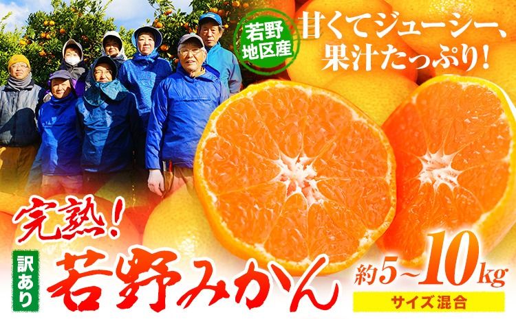 訳あり みかん 5kg 10kg 完熟 若野みかん 約5kg 約10kg サイズ混合 圦本農園 [11月下旬-12月中旬頃出荷]和歌山県 日高川町 送料無料 訳ありみかん 10キロ 5キロ わけありみかん わけあり 若野 みかん ミカン 柑橘 完熟 フルーツ 果物 お取り寄せフルーツ---wshg_yrm5_11g12c_25_11000_5kg---