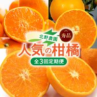 北野農園の人気の柑橘定期便（秀品）【全3回】_DZ60-T02